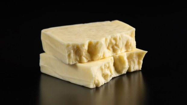 St-Nicolas - Ferme Phylum