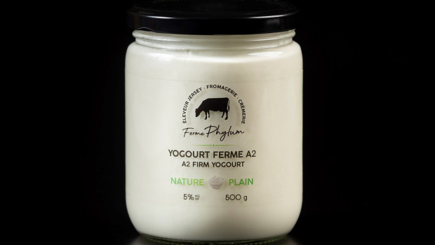 A2 Firm Yogurt - Plain - Ferme Phylum