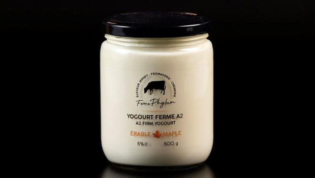 A2 Firm Yogourt - Maple - Ferme Phylum
